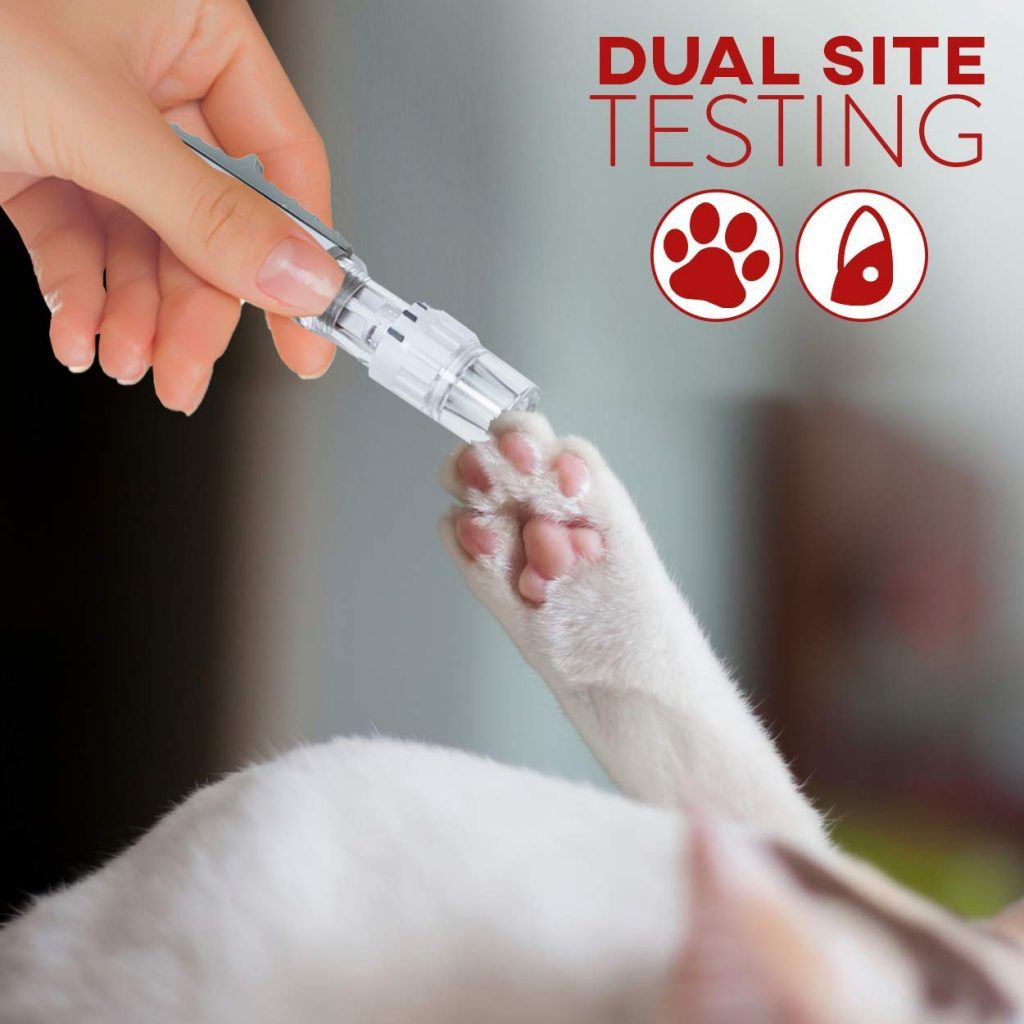 Care Vet Blood Glucose Test Strips (50 Count) for Use Monitor; Dog and